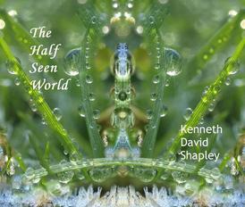 The Half Seen World book by Kenneth Shapley