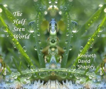 Kenneth Shapley author of The Half Seen world