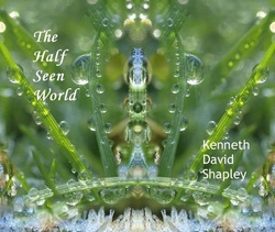 The Half Seen World by Kenneth Shapley